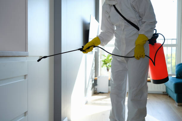 Certified Mold Removal in Massapequa Park, NY
