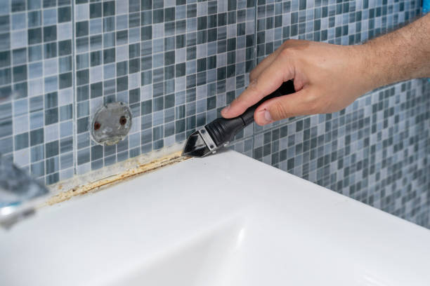 Best Professional Mold Removal  in Massapequa Park, NY
